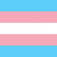 transgender_flag11-e1510515894985